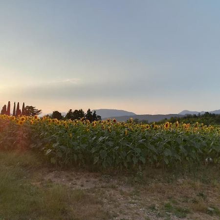 Falco Bianco San Daniele del Friuli Dış mekan fotoğraf
