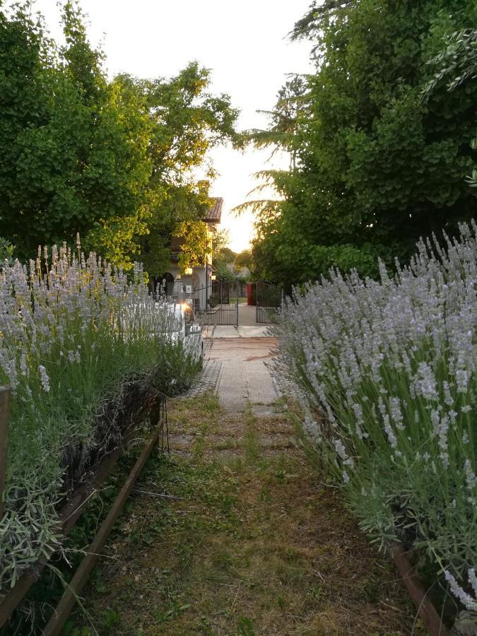Falco Bianco San Daniele del Friuli Dış mekan fotoğraf