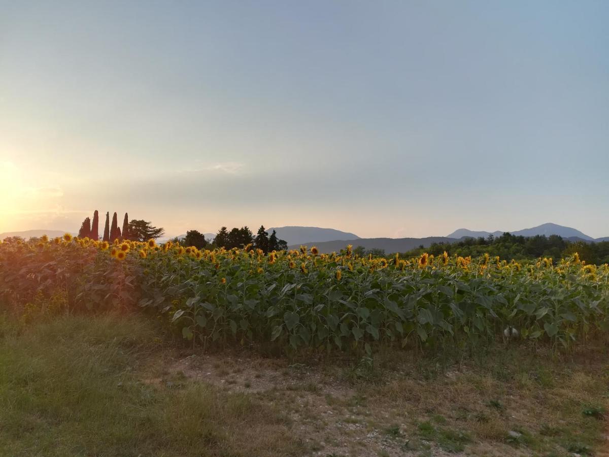 Falco Bianco San Daniele del Friuli Dış mekan fotoğraf