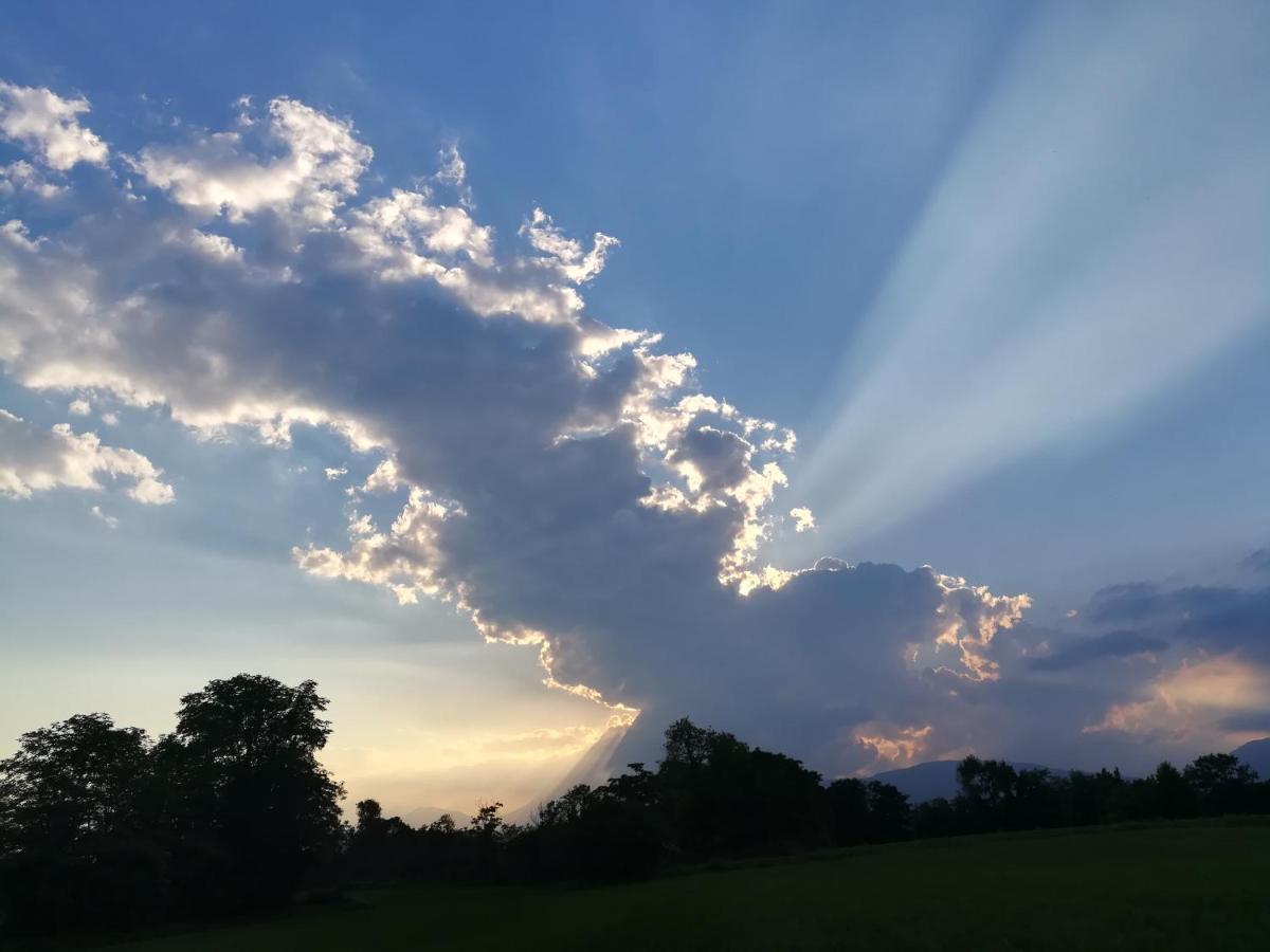 Falco Bianco San Daniele del Friuli Dış mekan fotoğraf